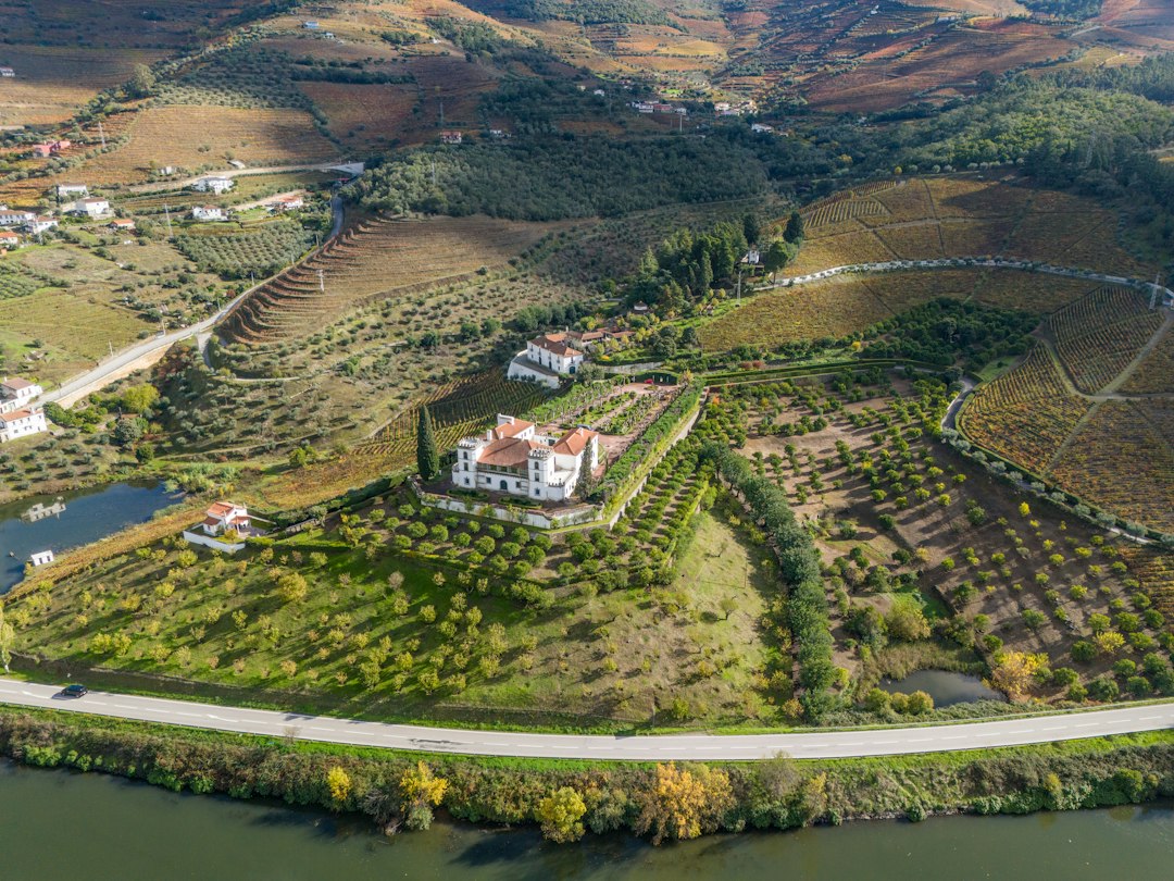 Квинта до Красто: вино и шифер в португальском Дору - Quinta do Crasto | Secret World Trip Planner