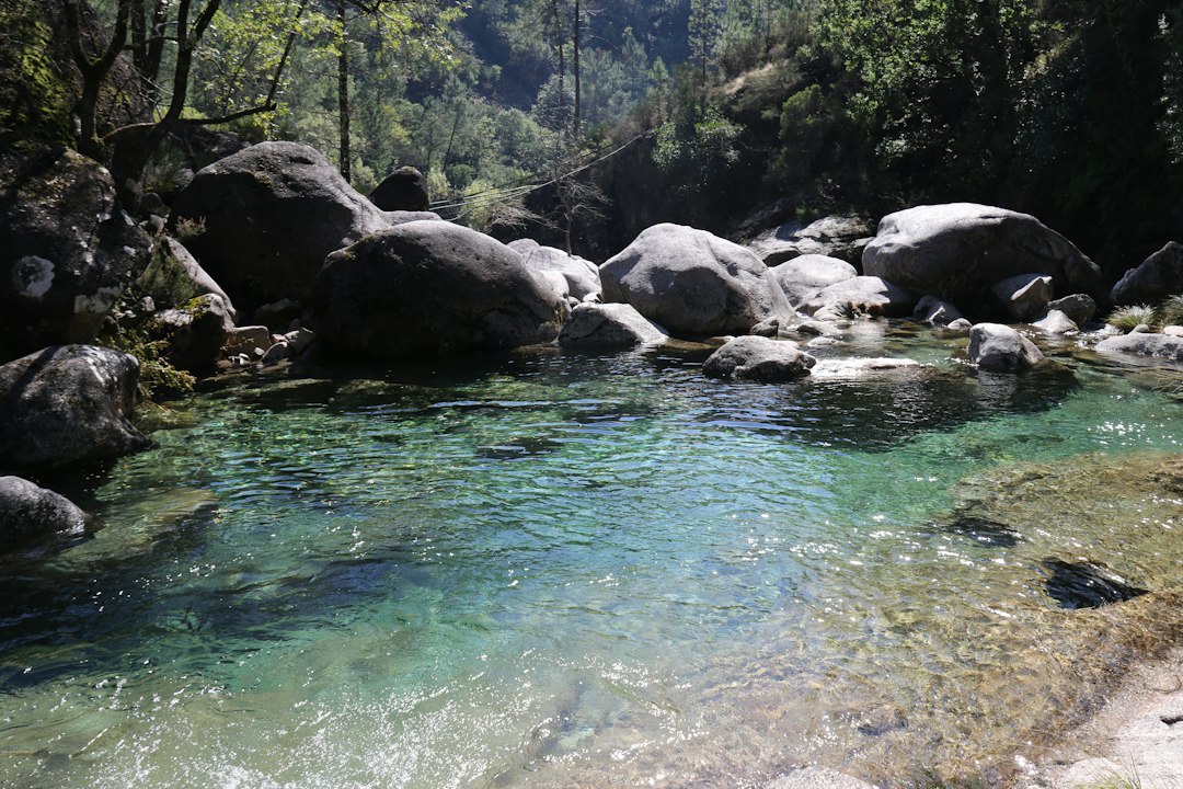 Caño Cristalitos: el río arcoíris de Colombia - La Macarena | Secret World Trip Planner