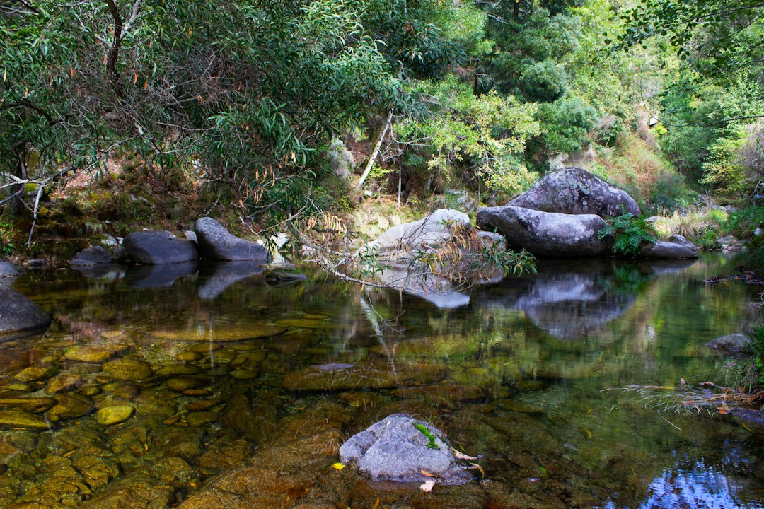 Caño Cristalitos: el río arcoíris de Colombia - La Macarena | Secret World Trip Planner