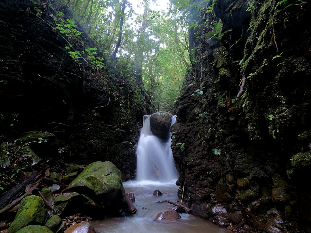 蒙特维德：云雾森林中的悬索桥 - Provincia di Puntarenas | Secret World Trip Planner