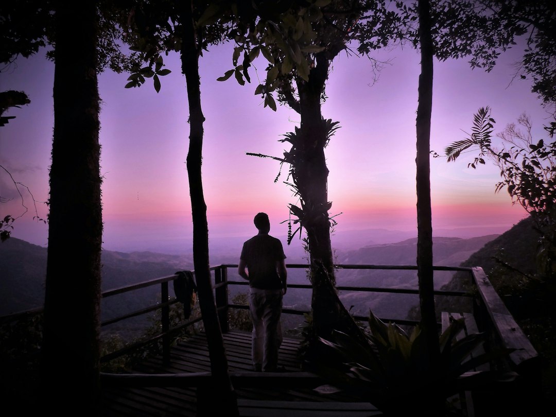 蒙特维德：云雾森林中的悬索桥 - Provincia di Puntarenas | Secret World Trip Planner