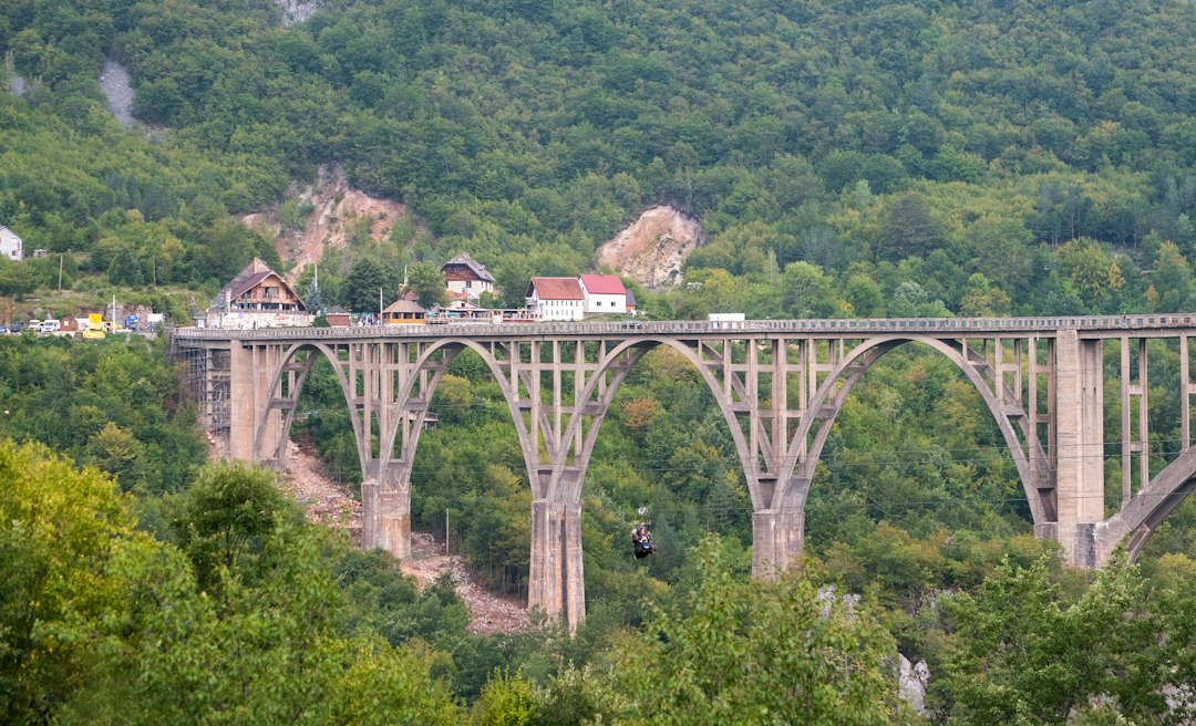 Canyon del Tara: panorami nel cuore del Montenegro - Tara River Canyon | Secret World Trip Planner