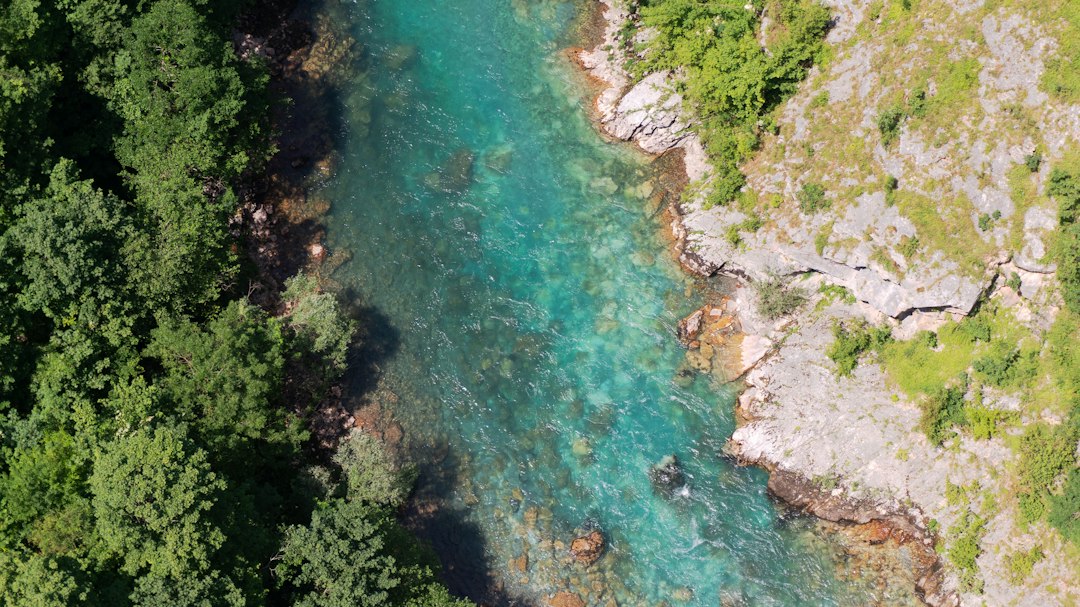 Canyon del Tara : panoramas au cœur du Monténégro - Tara River Canyon | Secret World Trip Planner