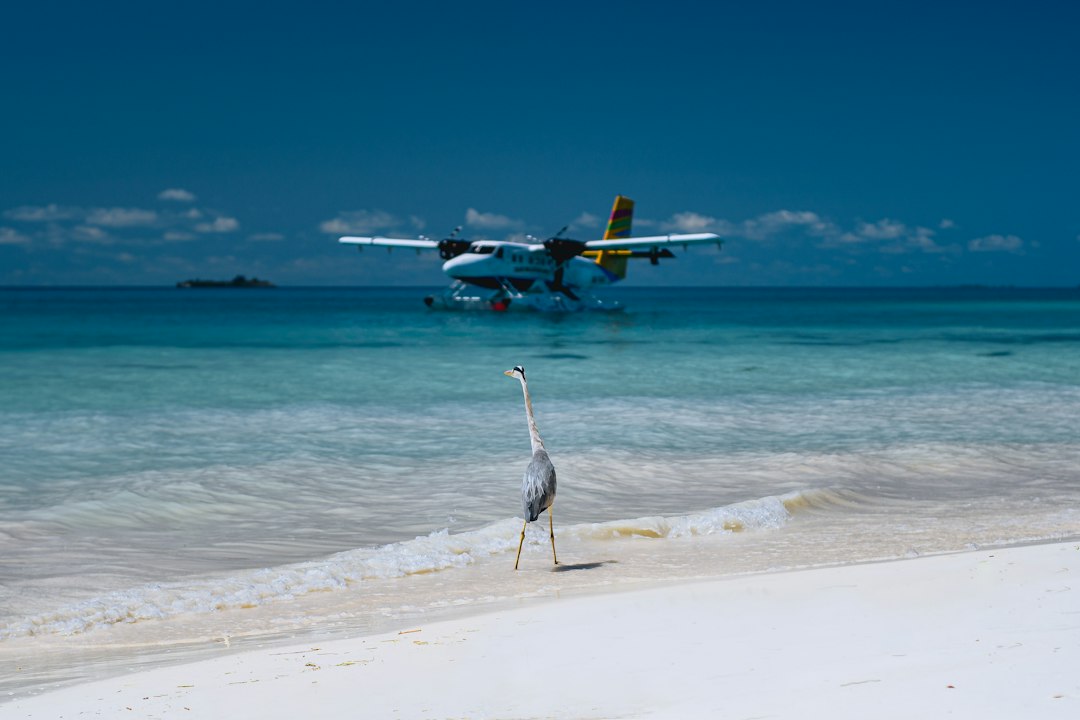 The Crane Resort: Barbados' Most Beautiful Beach | Secret World Trip Planner