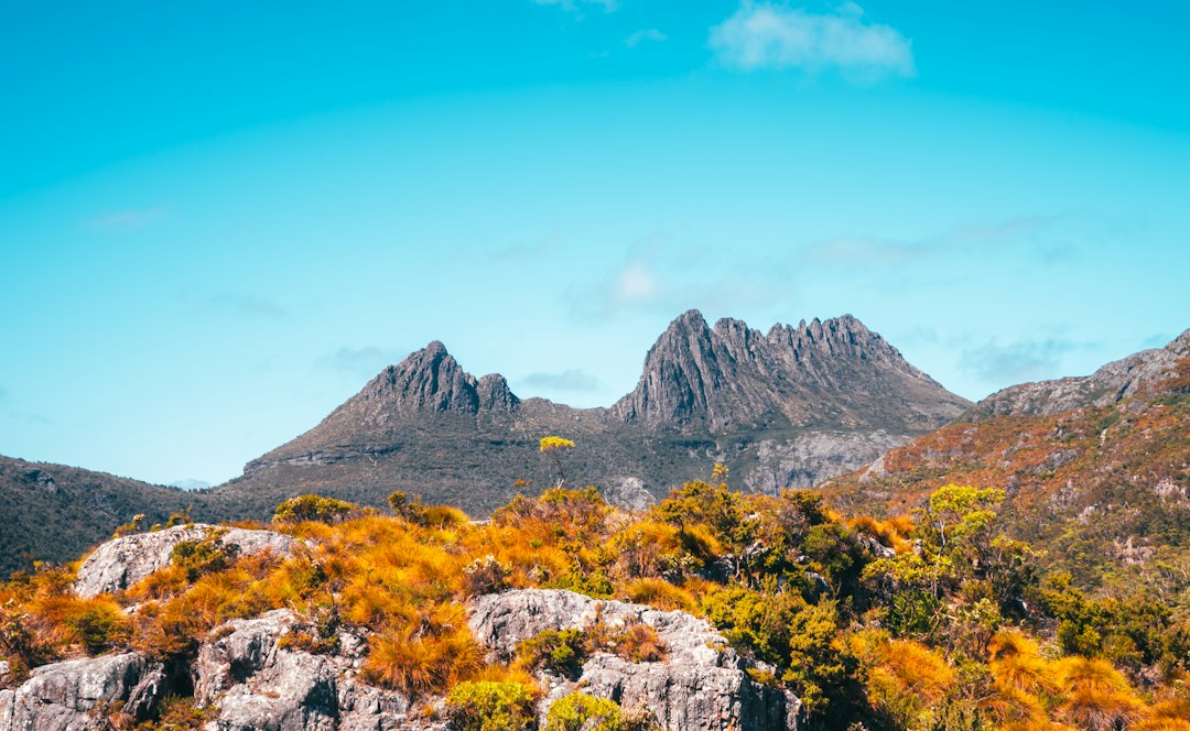 Overland Track: el trekking de 65 km en Tasmania - Overland Track | Secret World Trip Planner