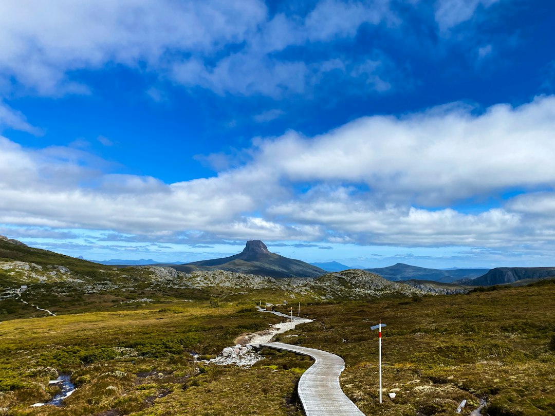 오버랜드 트랙: 타즈마니아의 65km 트레킹 - Overland Track | Secret World Trip Planner