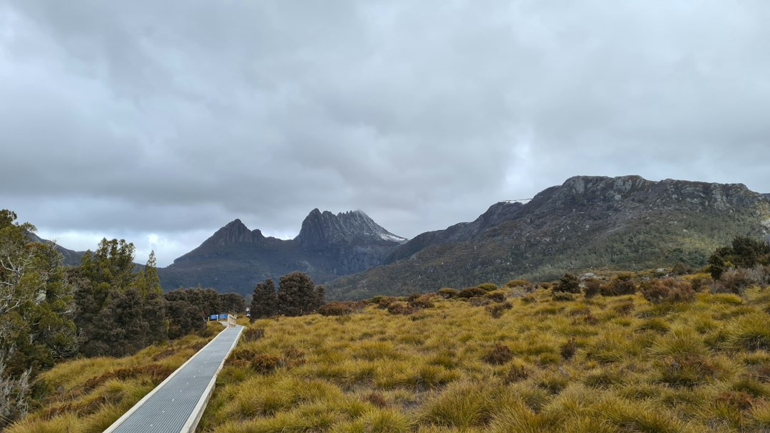 オーバーランドトラック:タスマニアの65kmトレッキング - Overland Track | Secret World Trip Planner