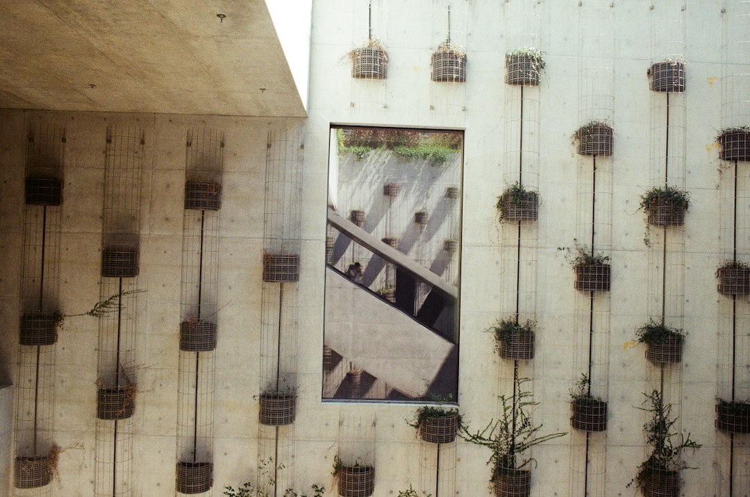 Descubre el arte contemporáneo en el M+ de Hong Kong - West Kowloon | Secret World Trip Planner