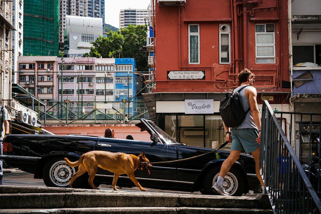 Scopri il Ping Shan Heritage Trail a Hong Kong — Ping Shan