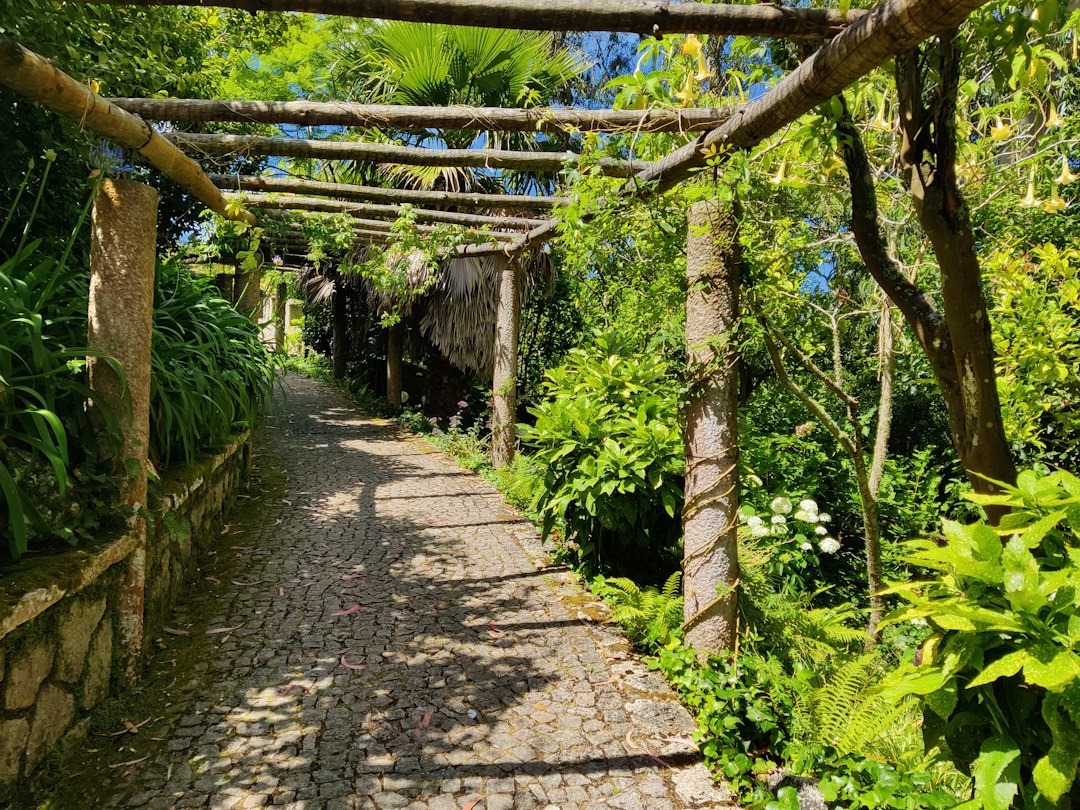 Il Giardino Lou Lim Ioc: Un Oasis en Macao - 10 Estr. de Adolfo Loureiro | Secret World Trip Planner