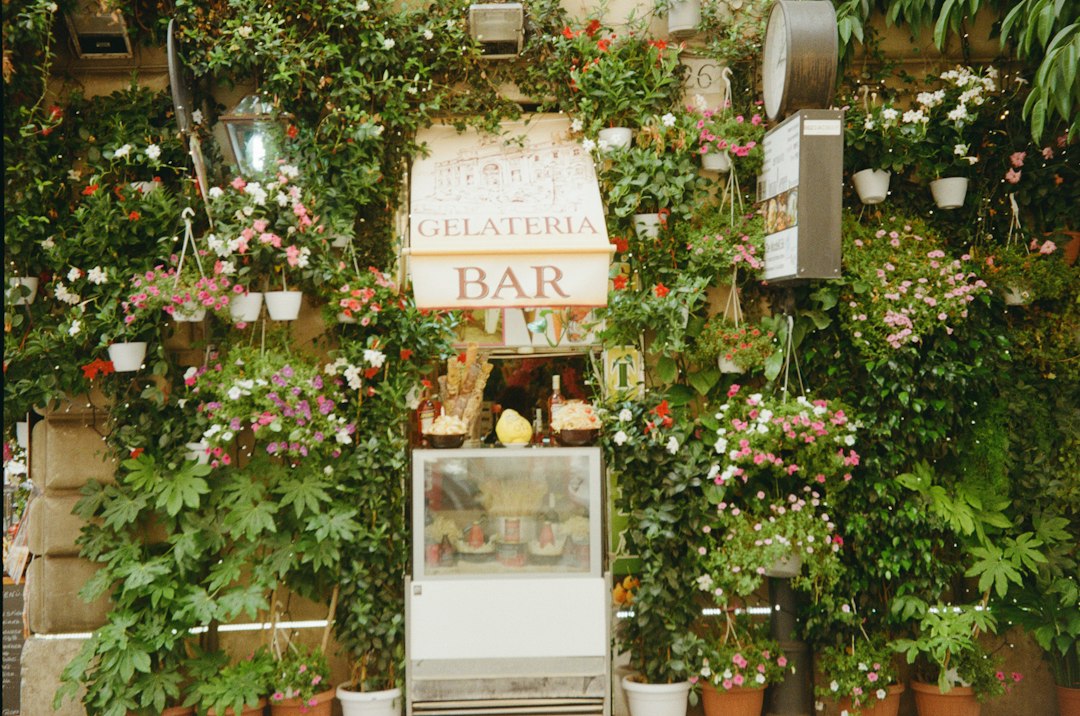 Il Giardino Lou Lim Ioc: Uma Oásis em Macau — 10 Estr. de Adolfo Loureiro