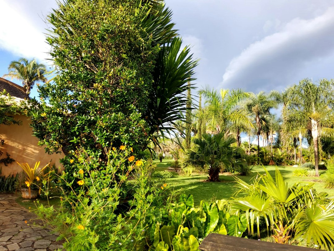 Il Giardino Lou Lim Ioc: Uma Oásis em Macau - 10 Estr. de Adolfo Loureiro | Secret World Trip Planner
