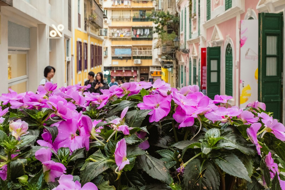 Descubra o Jardim Camões em Macau: Um Paraíso Oculto — de Macau