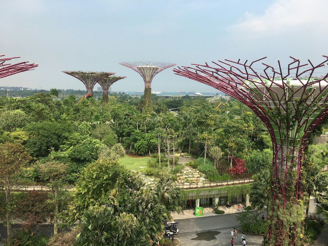 SkyPark: Miradores de Ensueño en Singapur - Tower 3 Level 56 | Secret World Trip Planner