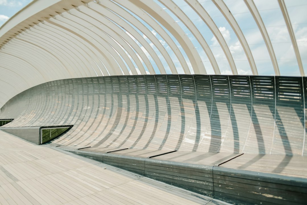 Henderson Waves: Il Ponte dei Sogni di Singapore | Secret World Trip Planner