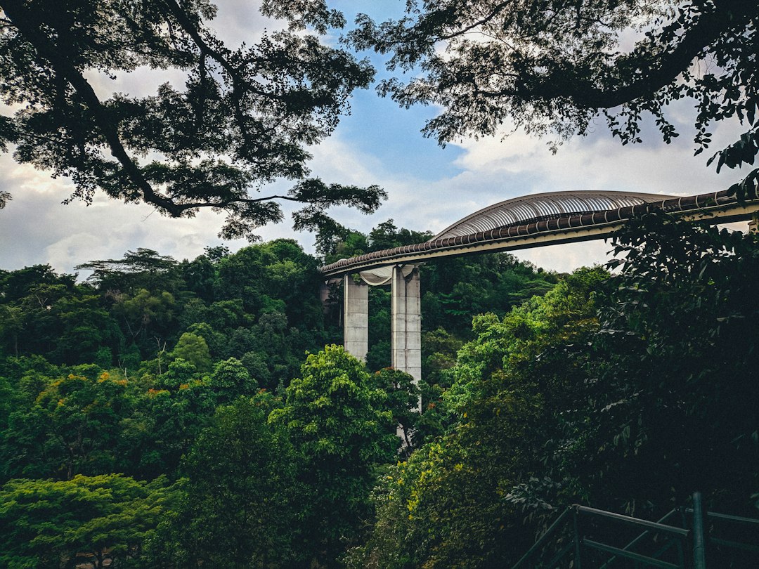 Henderson Waves: The Dream Bridge of Singapore | Secret World Trip Planner