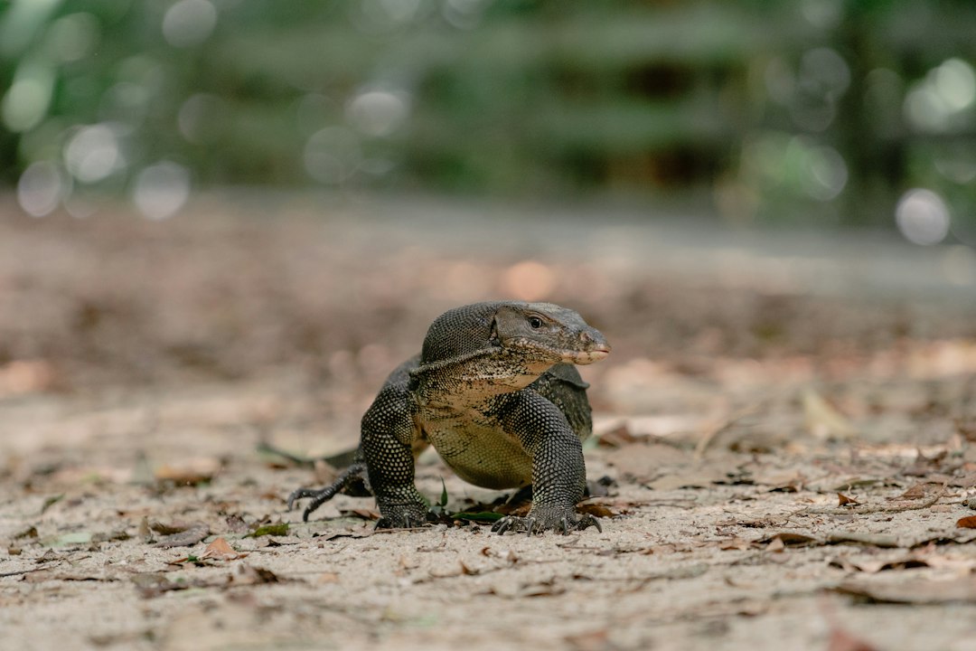 Entdecke das Naturparadies Sungei Buloh - 301 Neo Tiew Cres | Secret World Trip Planner