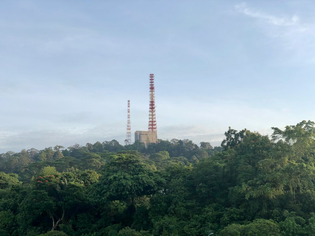 Scoprire la Magia della Riserva Naturale di Bukit Timah - Hindhede Dr | Secret World Trip Planner