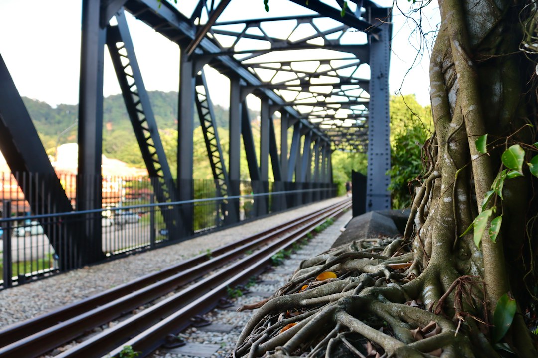 Descubre la Magia de la Reserva Natural Bukit Timah - Hindhede Dr | Secret World Trip Planner