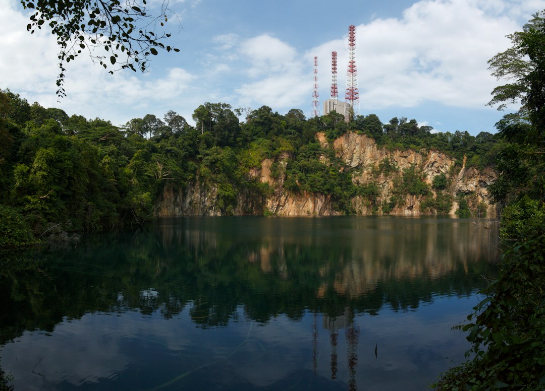 Découvrez la Magie du Réservoir MacRitchie - MacRitchie Reservoir | Secret World Trip Planner
