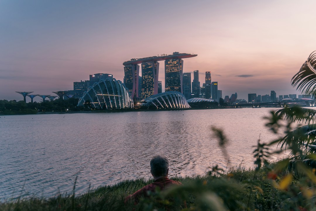 Откройте магию резервуара МакРитчи — MacRitchie Reservoir