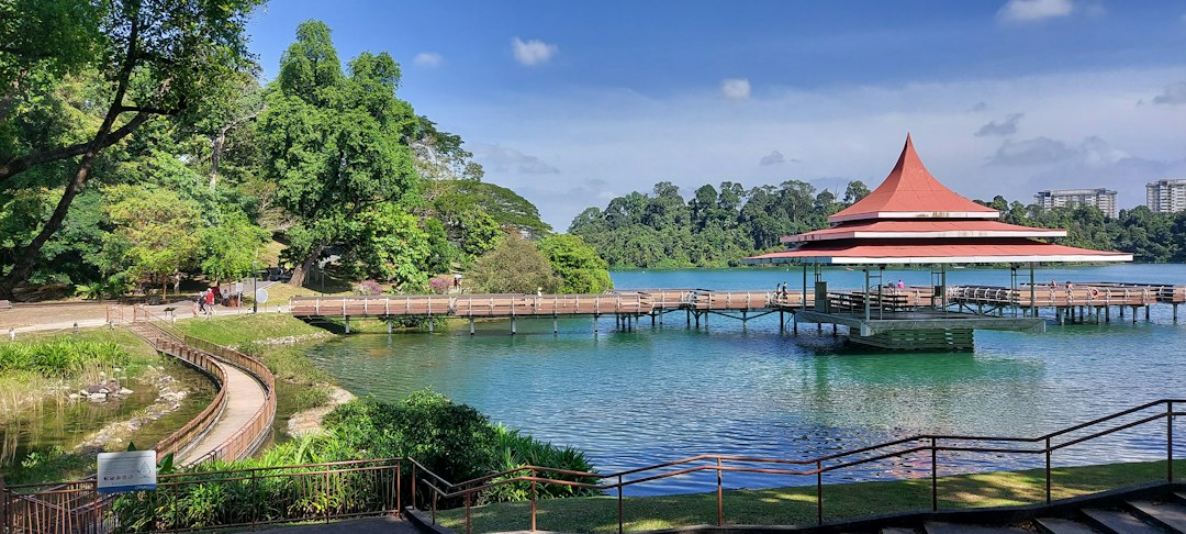 Откройте магию резервуара МакРитчи - MacRitchie Reservoir | Secret World Trip Planner