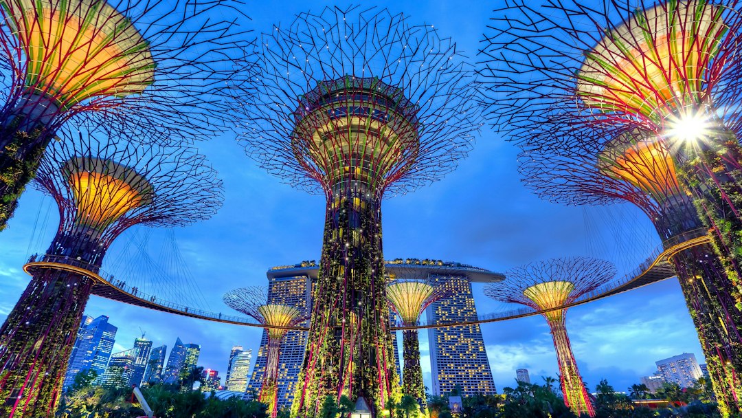 Esplorando i Giardini di Gardens by the Bay - 18 Marina Gardens Dr | Secret World Trip Planner