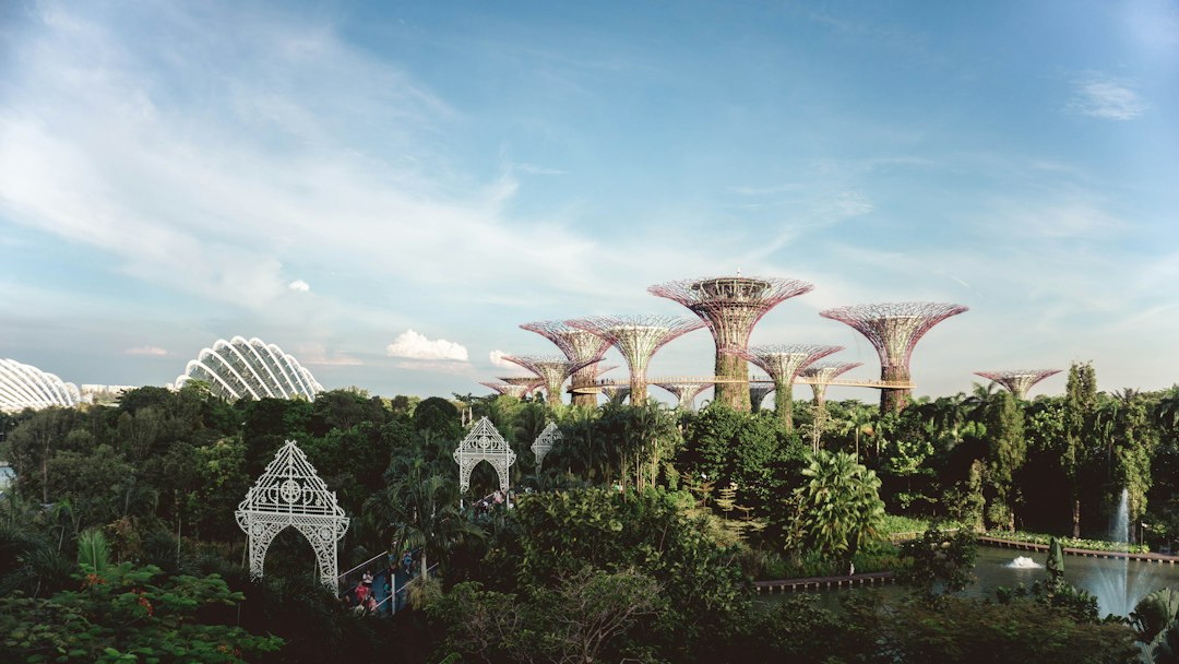 Explorando los Jardines de Gardens by the Bay - 18 Marina Gardens Dr | Secret World Trip Planner