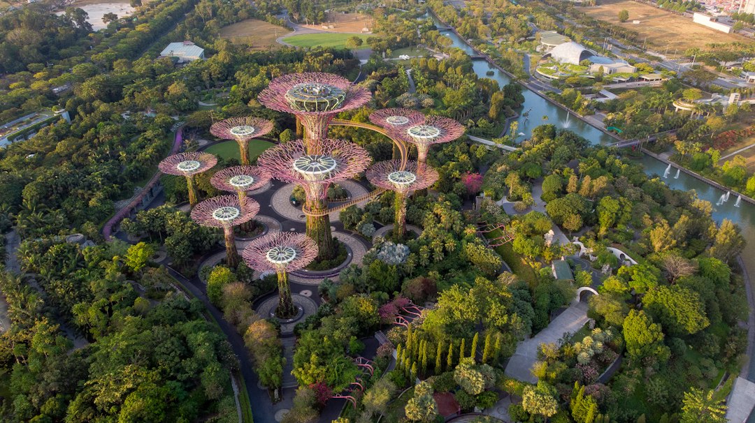Explorando os Jardins de Gardens by the Bay - 18 Marina Gardens Dr | Secret World Trip Planner