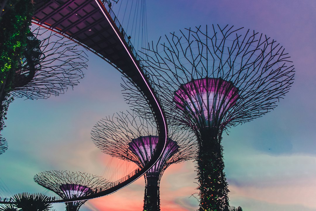 Исследуя сады Gardens by the Bay - 18 Marina Gardens Dr | Secret World Trip Planner