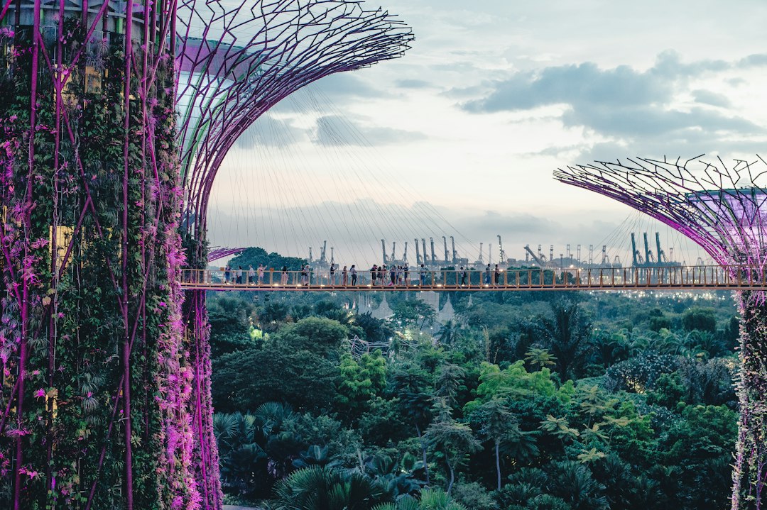 Исследуя сады Gardens by the Bay - 18 Marina Gardens Dr | Secret World Trip Planner