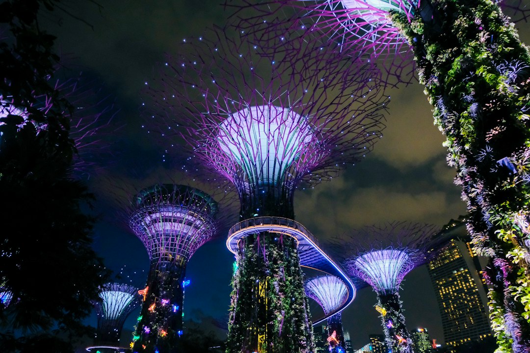 Entdecken Sie die Botanischen Gärten von Singapur - 1 Cluny Rd | Secret World Trip Planner