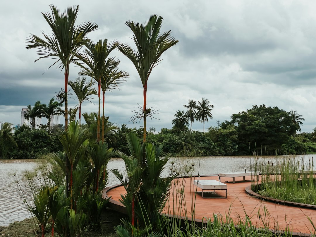 Discover the Magic of Jurong Lake Gardens in Singapore - Yuan Ching Rd | Secret World Trip Planner
