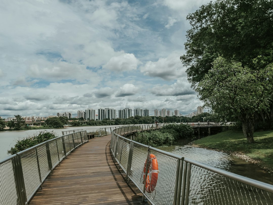 Entdecke die Magie der Jurong Lake Gardens in Singapur - Yuan Ching Rd | Secret World Trip Planner