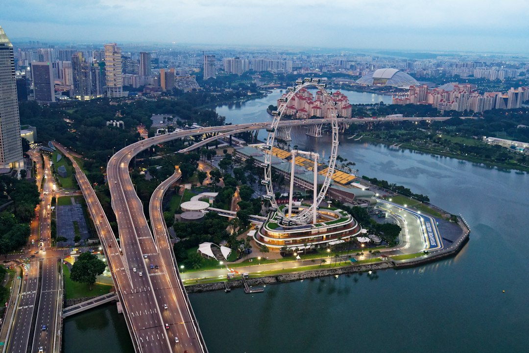 Il Ponte Helix: Un Viaggio nel Futuro di Singapore | Secret World Trip Planner