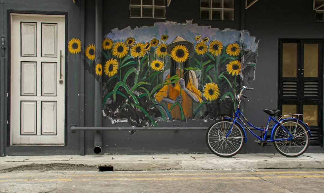 Discover Haji Lane: A Singapore Gem of History and Art - Haji Ln | Secret World Trip Planner