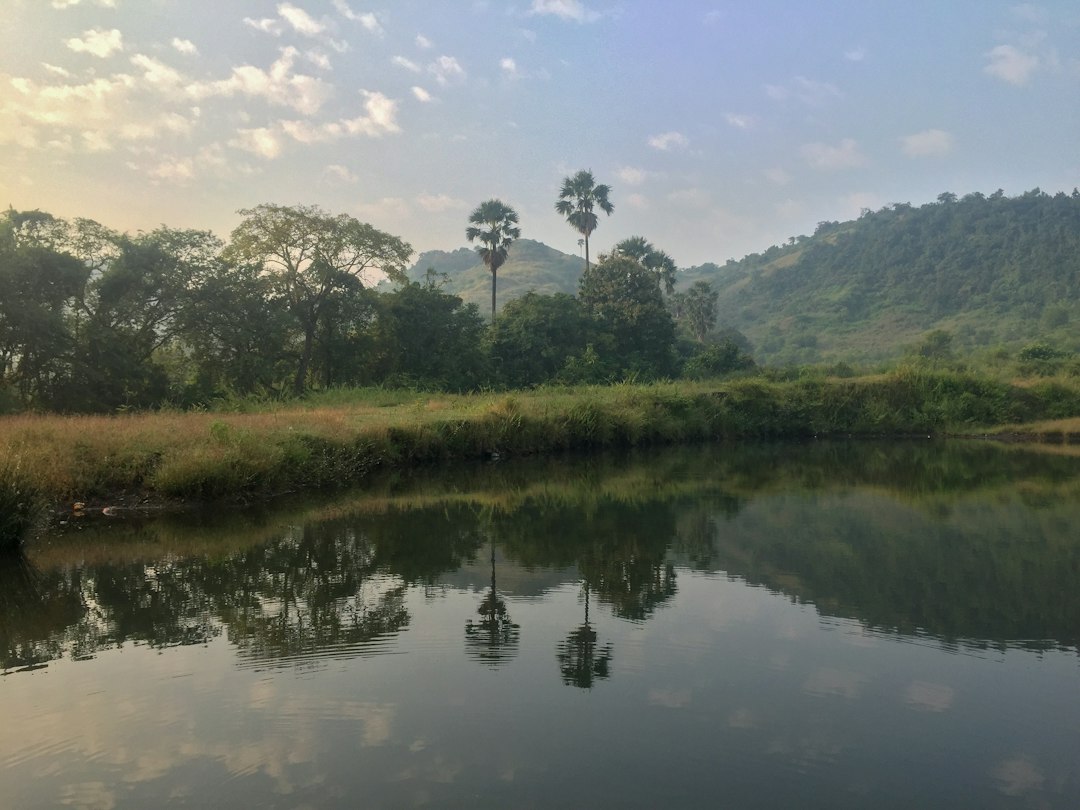 アンコールワットの反射池：夕暮れの魔法 - Reflecting Pond | Secret World Trip Planner