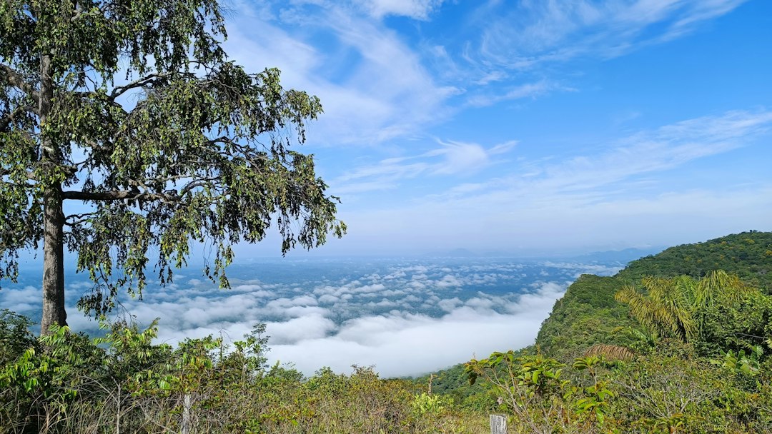 Wat Phu Tok: o mosteiro na rocha da Tailândia - Si Wilai District | Secret World Trip Planner