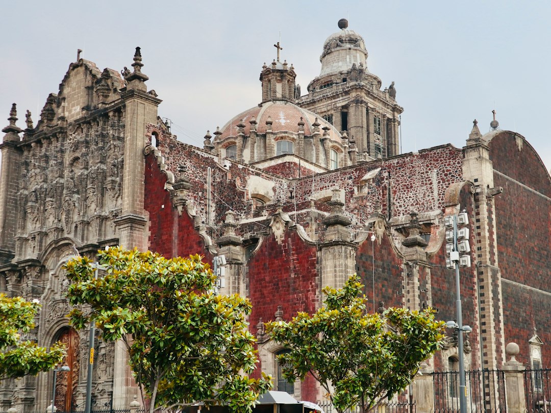 Museo Dolores Olmedo: Kahlo y Rivera en una hacienda - 16030 Ciudad de México | Secret World Trip Planner