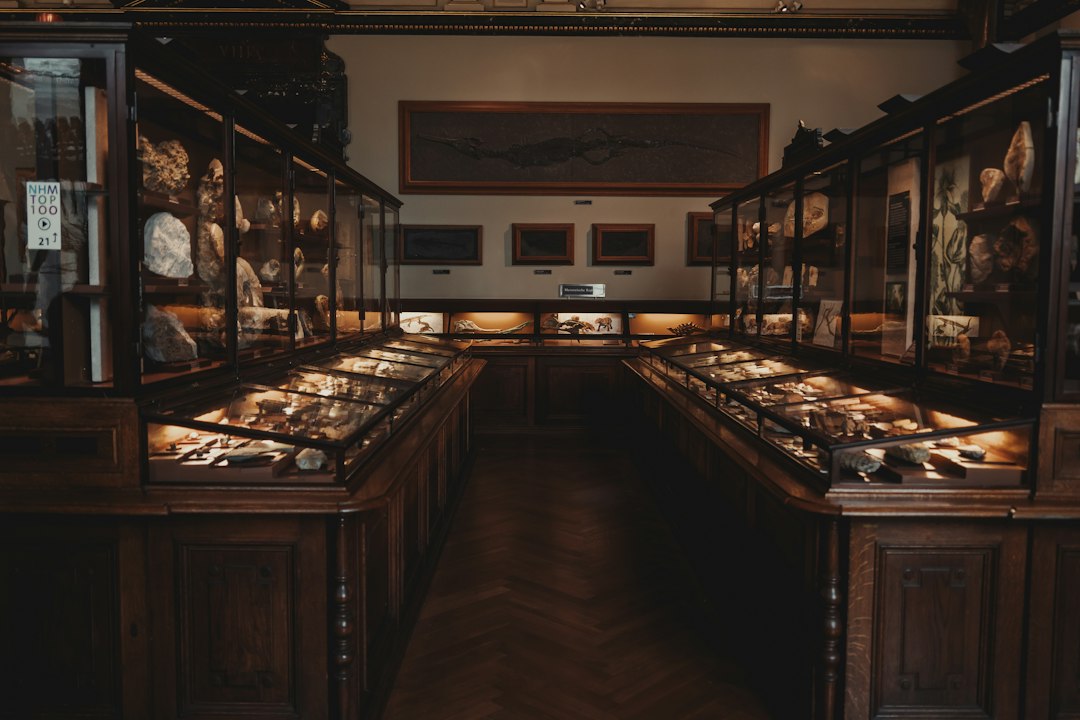 Museo Nacional de Etnología en Leiden: guía de visita - Steenstraat 1B | Secret World Trip Planner