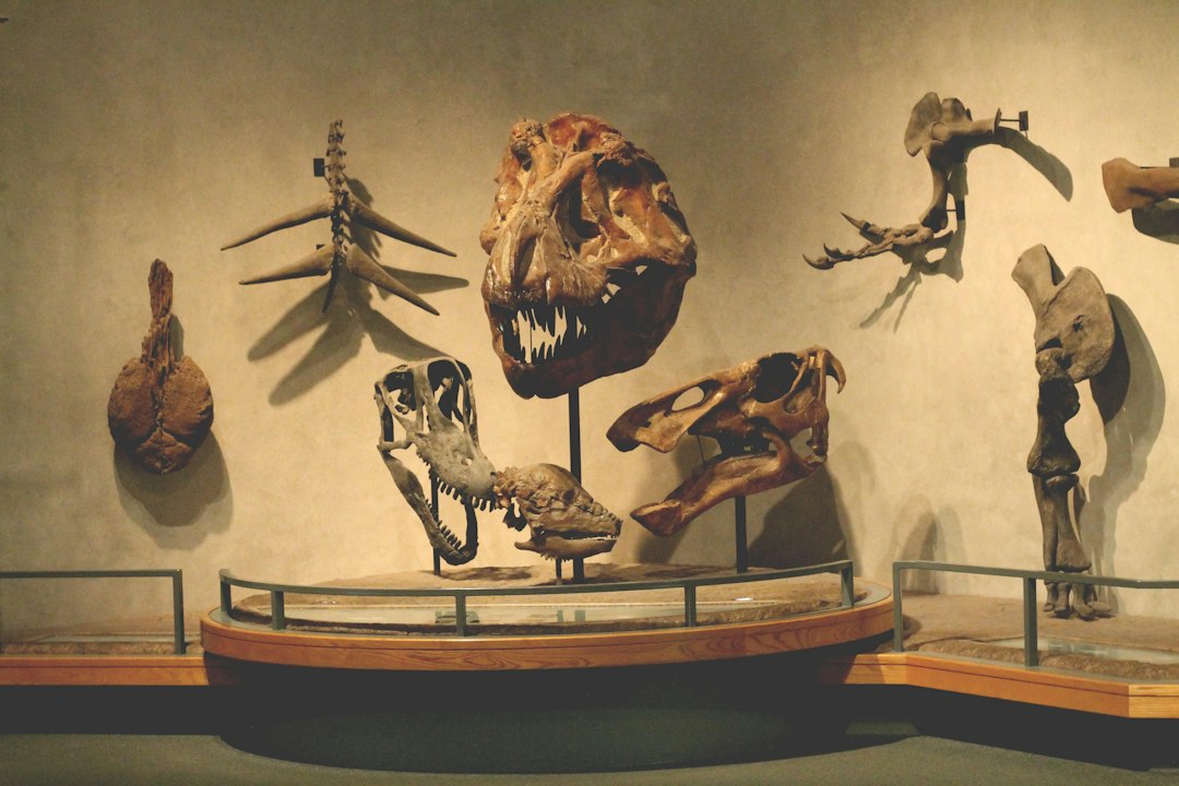 Museo Nacional de Etnología en Leiden: guía de visita - Steenstraat 1B | Secret World Trip Planner