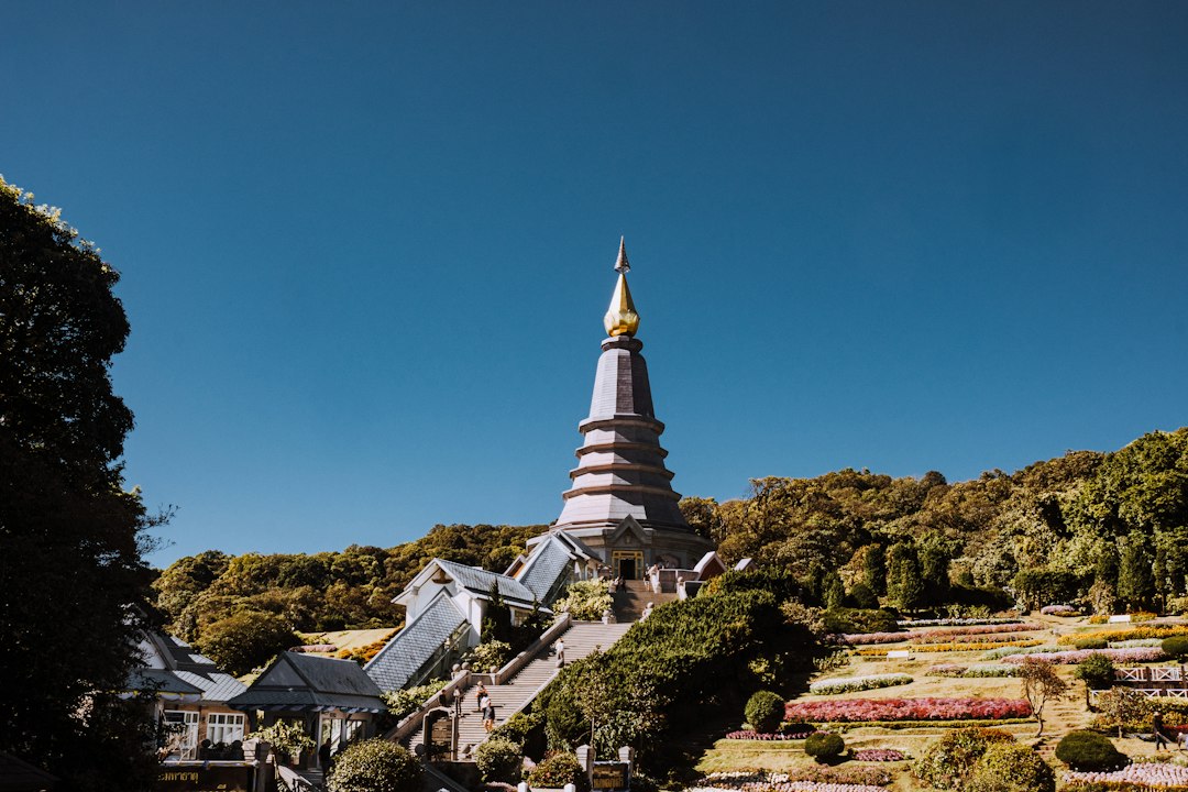 因他农山:泰国最高森林中的小径探秘 - Chom Thong District | Secret World Trip Planner