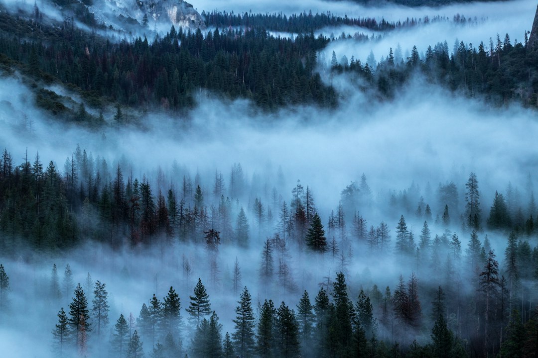마법의 계곡: 올림픽 열대우림의 길 - Washington | Secret World Trip Planner
