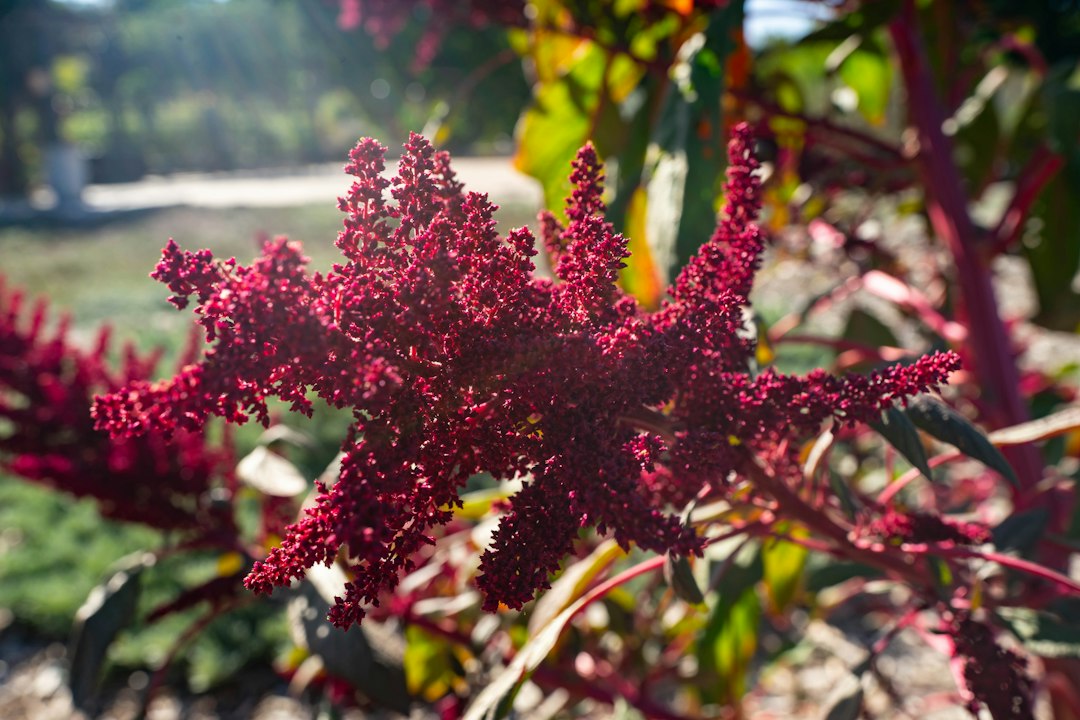 Radomlje Arboretum: Slovenia's Botanical Garden - Volčji Potok 3 | Secret World Trip Planner