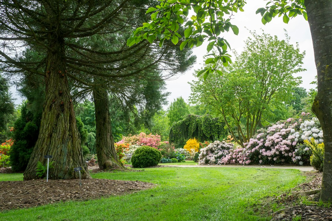 Radomlje Arboretum: Slovenia's Botanical Garden - Volčji Potok 3 | Secret World Trip Planner
