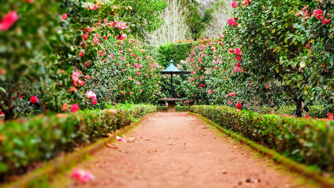 Botanischer Garten Peradeniya: Grünes Wunder in Kandy — Kandy - Colombo Rd