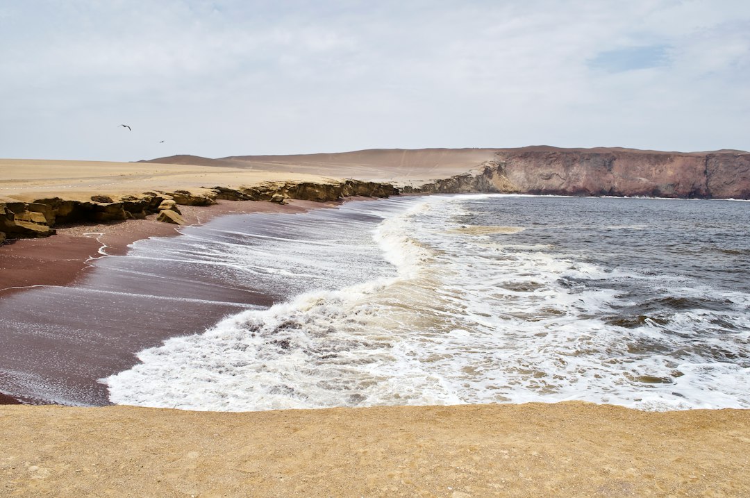 Playa Roja Paracas: Die rote Strandperle Perus - El Chaco | Secret World Trip Planner