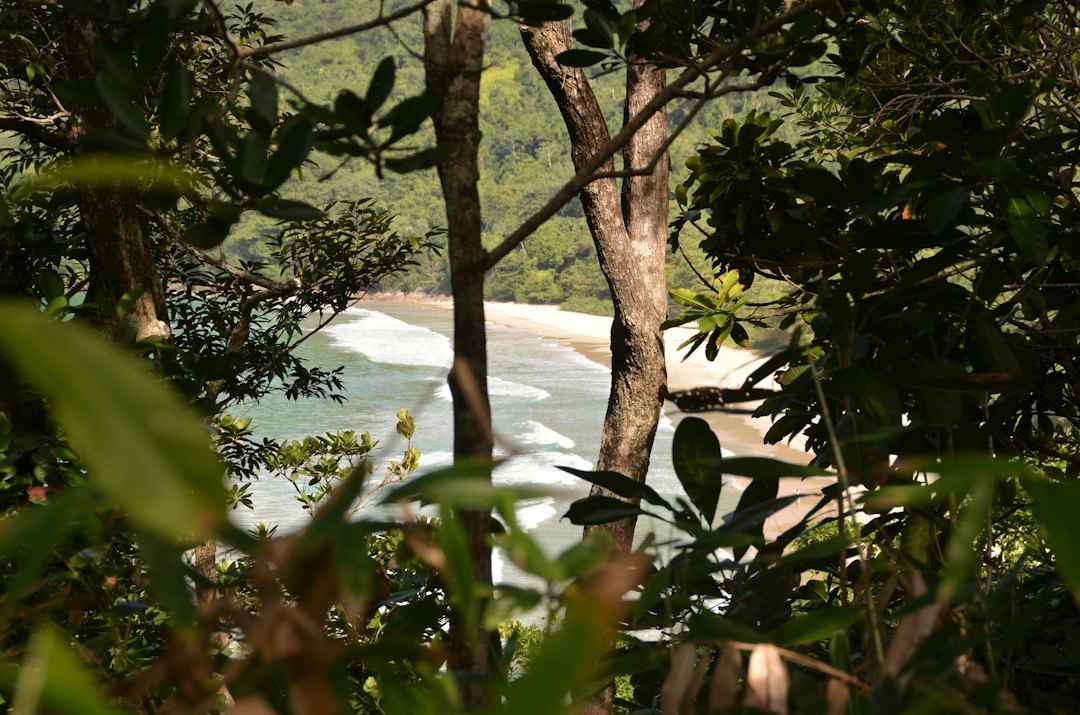 索诺海滩:帕拉提的隐秘海滩 - Rio de Janeiro | Secret World Trip Planner