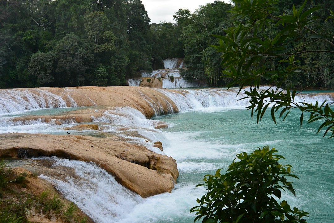 Agua Azul: le cascate turchesi del Chiapas - 29920 Cascada de agua azul | Secret World Trip Planner