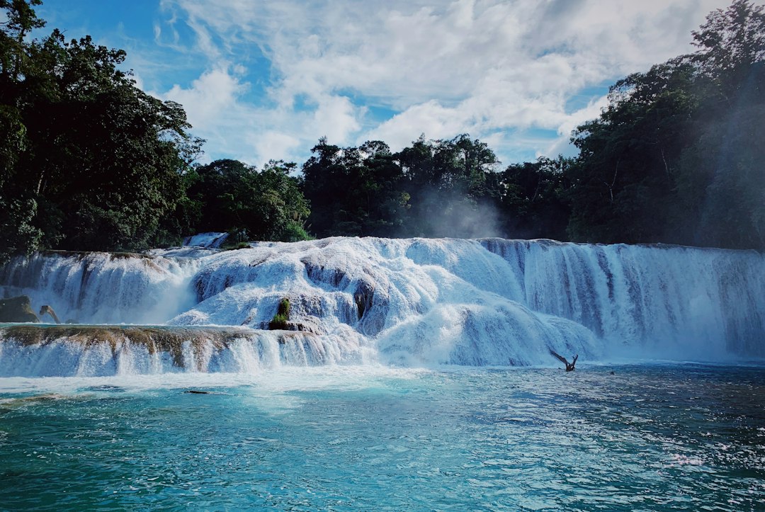 アグア・アスール：チアパスのターコイズの滝 — 29920 Cascada de agua azul